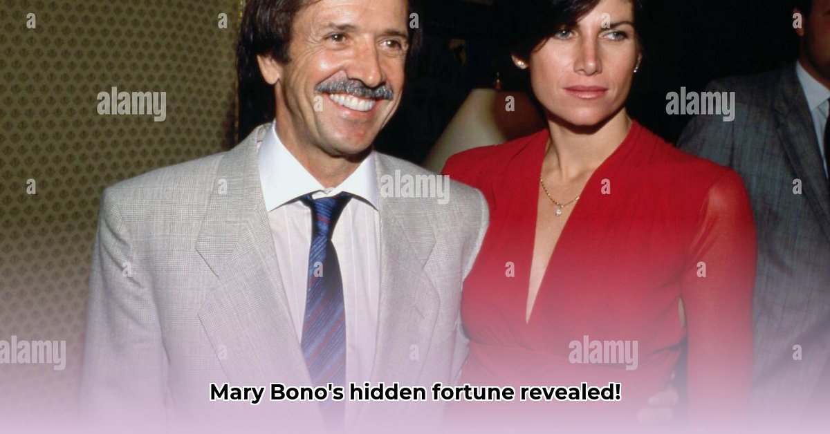 mary-bono-net-worth